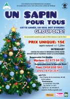 /album/galerie-de-photos-affiches/fedloc-sapin-2013-docdef-jpg/